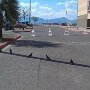 IMG_20260427_065030