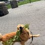 IMG_20260428_064742