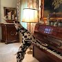 IMG_20260428_065105
