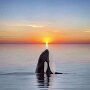 IMG_20260429_065807