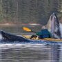 IMG_20260601_061619