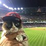 IMG_20260603_065745