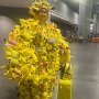 IMG_20260603_065847