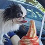 IMG_20260604_071555