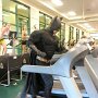 IMG_20260604_071702