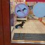 IMG_20260604_071737