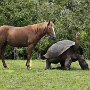 IMG_20260606_080919