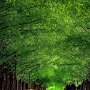 IMG_20260607_072241