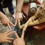 IMG_20260610_072508