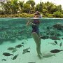IMG_20260611_064226
