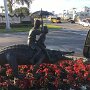 IMG_20260612_064850