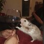 IMG_20260613_094413