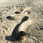 IMG_20260613_094518
