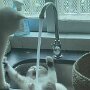 IMG_20260618_070555