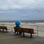 IMG_20260618_070622