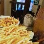 IMG_20260620_084149