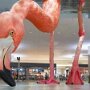 IMG_20260621_084357