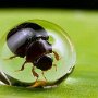 IMG_20260622_070600