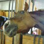 IMG_20260624_070658
