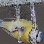 IMG_20260624_070704