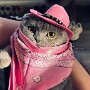 IMG_20260626_065932