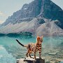 IMG_20260628_080554