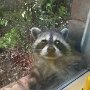 IMG_20260629_070609