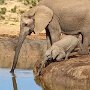 IMG_20260629_070647