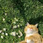 IMG_20260704_084144