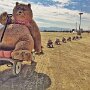 IMG_20260713_063853