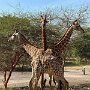 IMG_20260728_134832