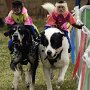IMG_20260729_143419