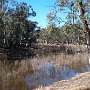 Murray_river_red