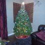 Our First Christmas Tree