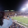 Buffalo Wold Wings Bowl