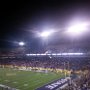 Buffalo Wold Wings Bowl