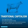 econ_cows_05