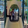 Fun At The Park