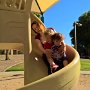 Fun At The Park