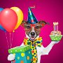 Happy-birthday-wishes-funny-wallpaper